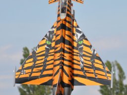 Flugtag 2022